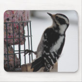 Downy Woodpecker Mousepad (Vorne)