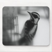 Downy Woodpecker Mousepad (Vorne)