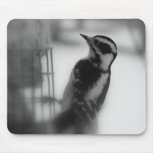 Downy Woodpecker Mousepad (Vorne)