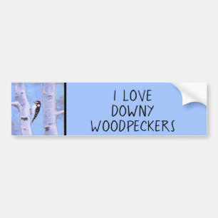 Downy Woodpecker Painting - Original Bird Art Autoaufkleber