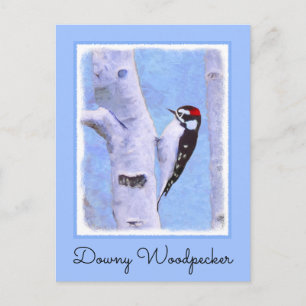 Downy Woodpecker Painting - Original Bird Art Postkarte