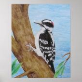 Downy Woodpecker Poster (Vorne)