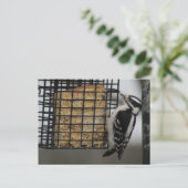 Downy Woodpecker Postkarte (Stehend Vorderseite)