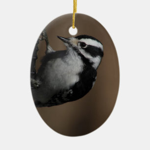 Downy Woodpecker-Schmuck Keramik Ornament