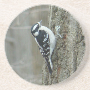 Downy Woodpecker Untersetzer