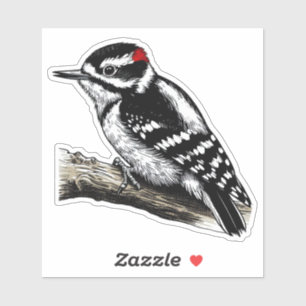 Downy Woodpecker Vogel Custom Cut Vinyl Sticker