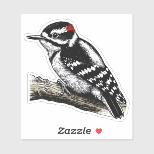 Downy Woodpecker Vogel Custom Cut Vinyl Sticker (Blatt)