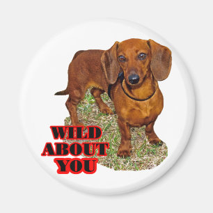 Doxi Liebhaber Magnet