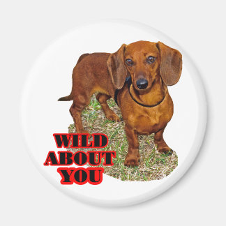 Doxi Lover Magnet