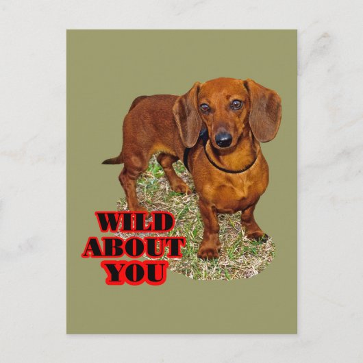 Doxi Lover Postkarte (Vorderseite)