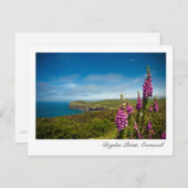 Doyden Point, Cornwall Postcard Postkarte (Vorne/Hinten)