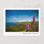 Doyden Point, Cornwall Postcard Postkarte (Vorderseite)
