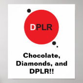DPLR-Poster Poster (Vorne)