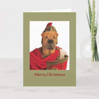 DR068 Shar Pei, frohe Weihnachten