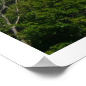 DR1 239/17 am Finale! Poster (Ecke)