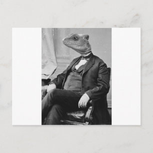 Dr. Echse Postkarte