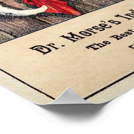 Dr. Morse Cat Trade Card #1 (von 4) Poster (Ecke)