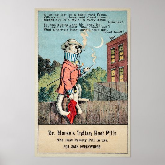 Dr. Morse Cat Trade Card #1 (von 4) Poster (Vorne)