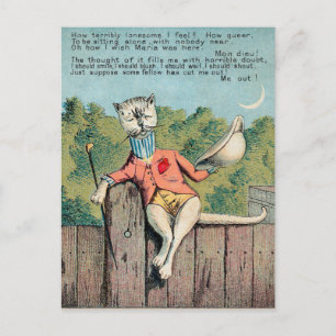 Dr Morse Katze Sammelkarte #2 (von 4) Postkarte