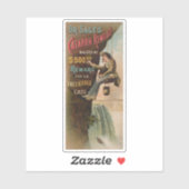 Dr. Sages "Catarrh Remedy" Aufkleber (Blatt)