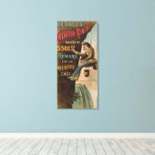 Dr. Sages "Catarrh Remedy" Leinwanddruck (Insitu (Holzboden))