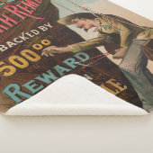 Dr. Sages "Catarrh Remedy" Sherpadecke (3/4)