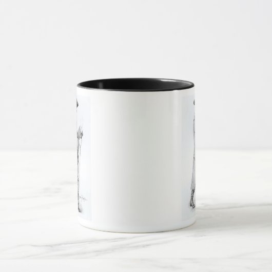 Dr. Samuel Johnson Tasse (Zentrum)