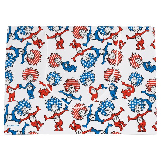 Dr. Seuss | Das eine, das andere, das US-Flag-Must Große Geschenktüte (Vorderseite)