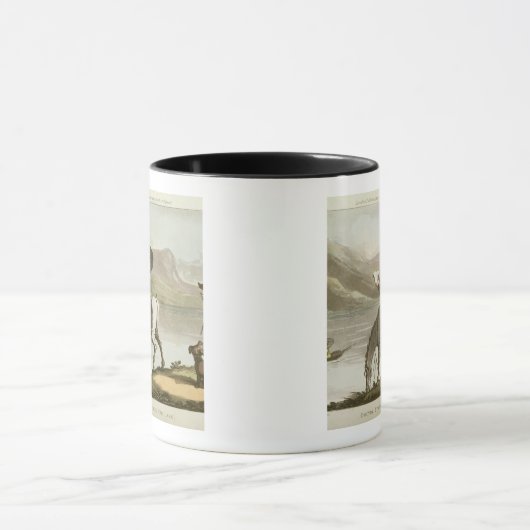 Dr. Syntax, die den See skizziert Tasse (Zentrum)