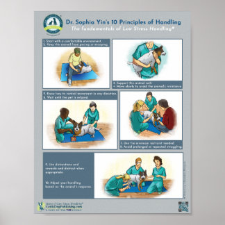 Dr. Yins 10 Prinzipien des Umgangs mit Hunden Poster