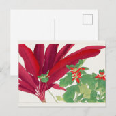 Dracaena, Poinsettia von Tanigami Konan Postkarte (Vorne/Hinten)