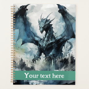Drache 2 planer