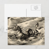 Drache am Äquator Postkarte (Vorne/Hinten)