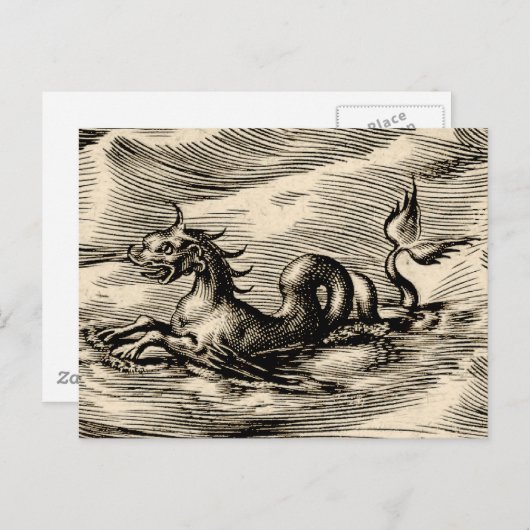 Drache am Äquator Postkarte (Vorne/Hinten)