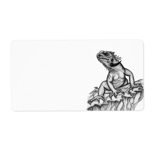 Drache auf dem Felsen (Vorne)