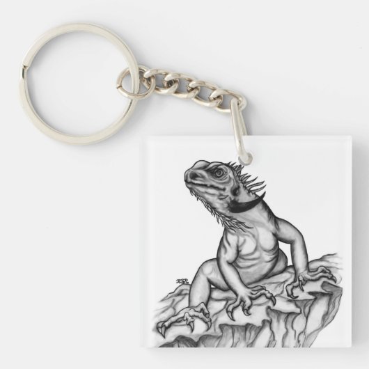 Drache auf dem Felsen Schlüsselanhänger (Vorderseite)