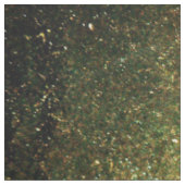 Drache auf einer orangefarbenen Textur Stoff (Muster)