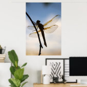 Drache auf Erholung Poster (Heimbüro)