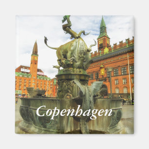 Drache-Brunnen in Kopenhagen Magnet