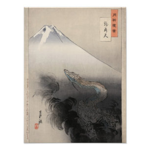 Drache, der auf den Himmeln steigt Fotodruck