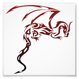 Drache-Druck Fotodruck