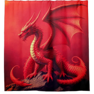 DRACHE DUSCHVORHANG