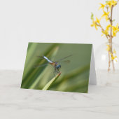 Drache-Fliege - blaues Grün 06 Karte (Gelbe Blume)