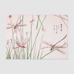 DRACHE-FLIEGE MIT GRAS Seidenpapier