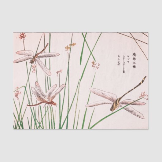 DRACHE-FLIEGE MIT GRAS Seidenpapier (Vorderseite)