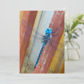 Drache-Fliegen-12x18 Ausdruck-/Grußkarte Dankeskarte (Stehend Vorderseite)