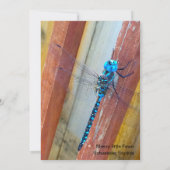 Drache-Fliegen-12x18 Ausdruck-/Grußkarte Dankeskarte (Rückseite)