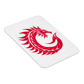 Drache gestalteter Buchstabe C, Drachenalphabet, M Magnet (Rechte Seite)