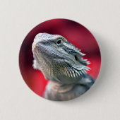Drache-Hauptknopf Button (Vorderseite)