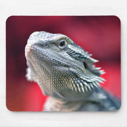Drache HauptMousepad Mousepad (Vorne)